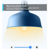 Умная Wi-Fi лампа TP-LINK TAPO L530E многоцветная